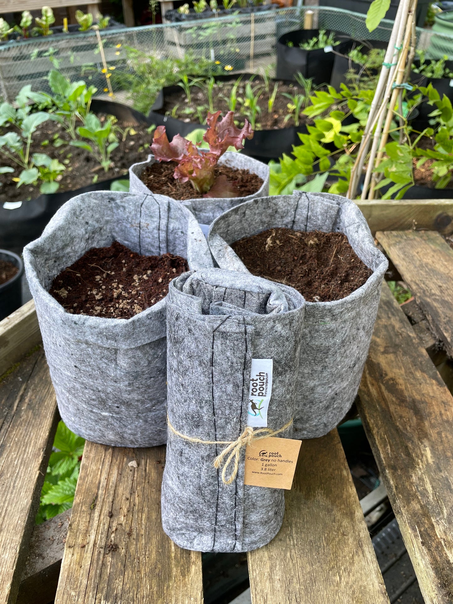 Small grow bags 3 pack - 3.8 litres