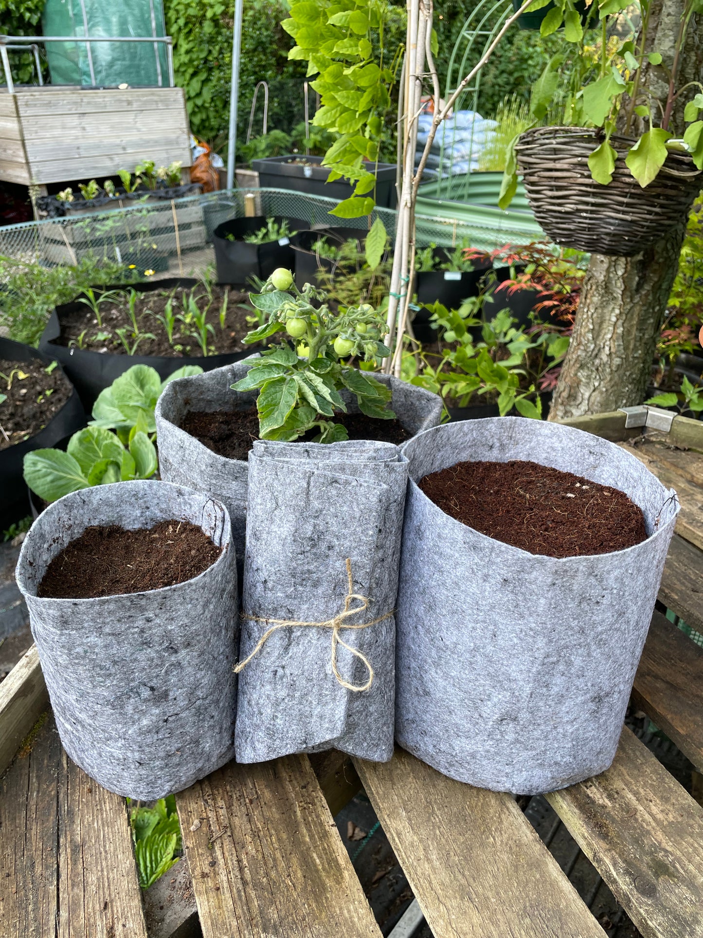 Grow bags assorted collection 3 pack - 12 litre, 8 litre & 3.8 litre