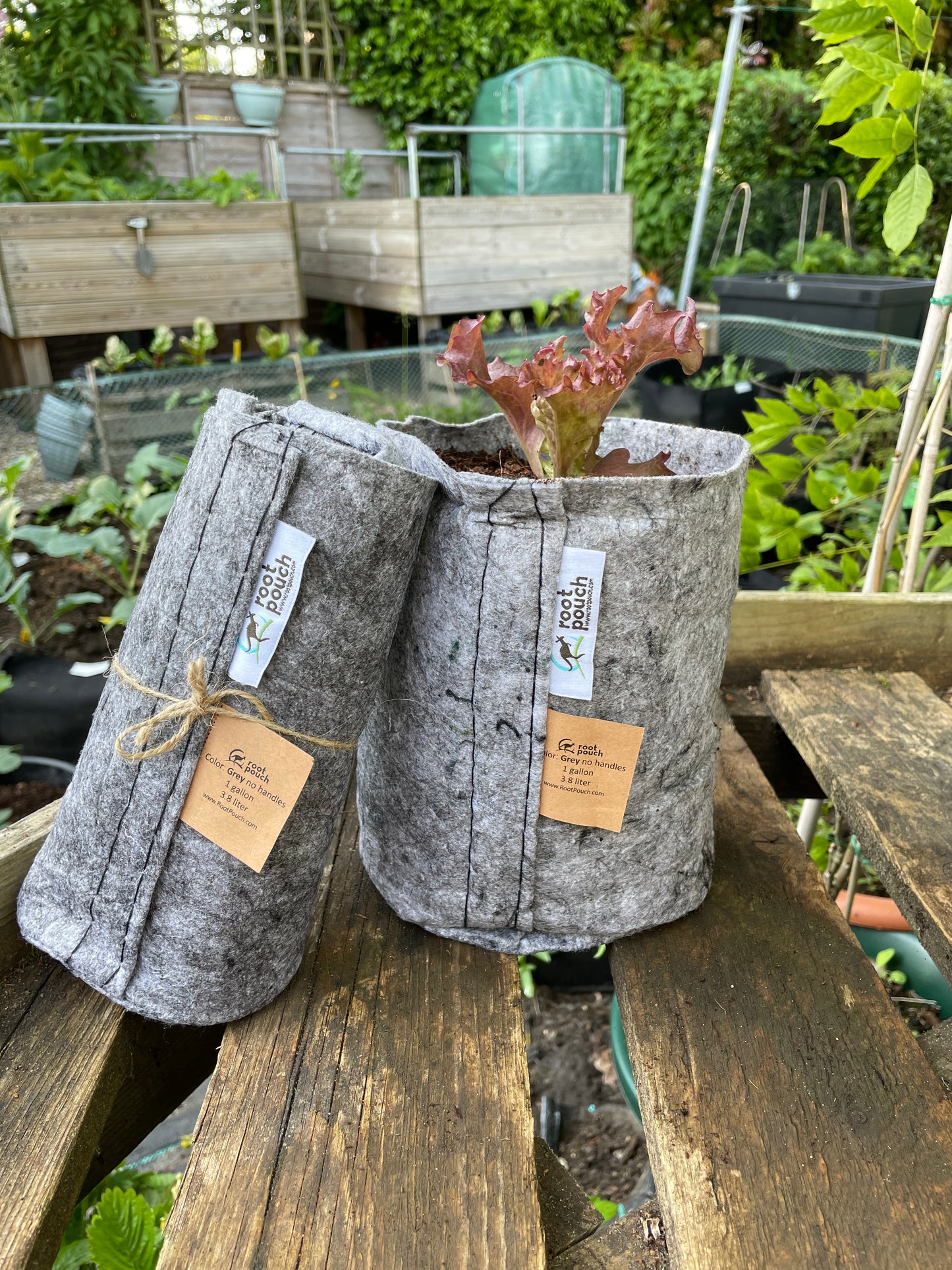 Small grow bags 3 pack - 3.8 litres