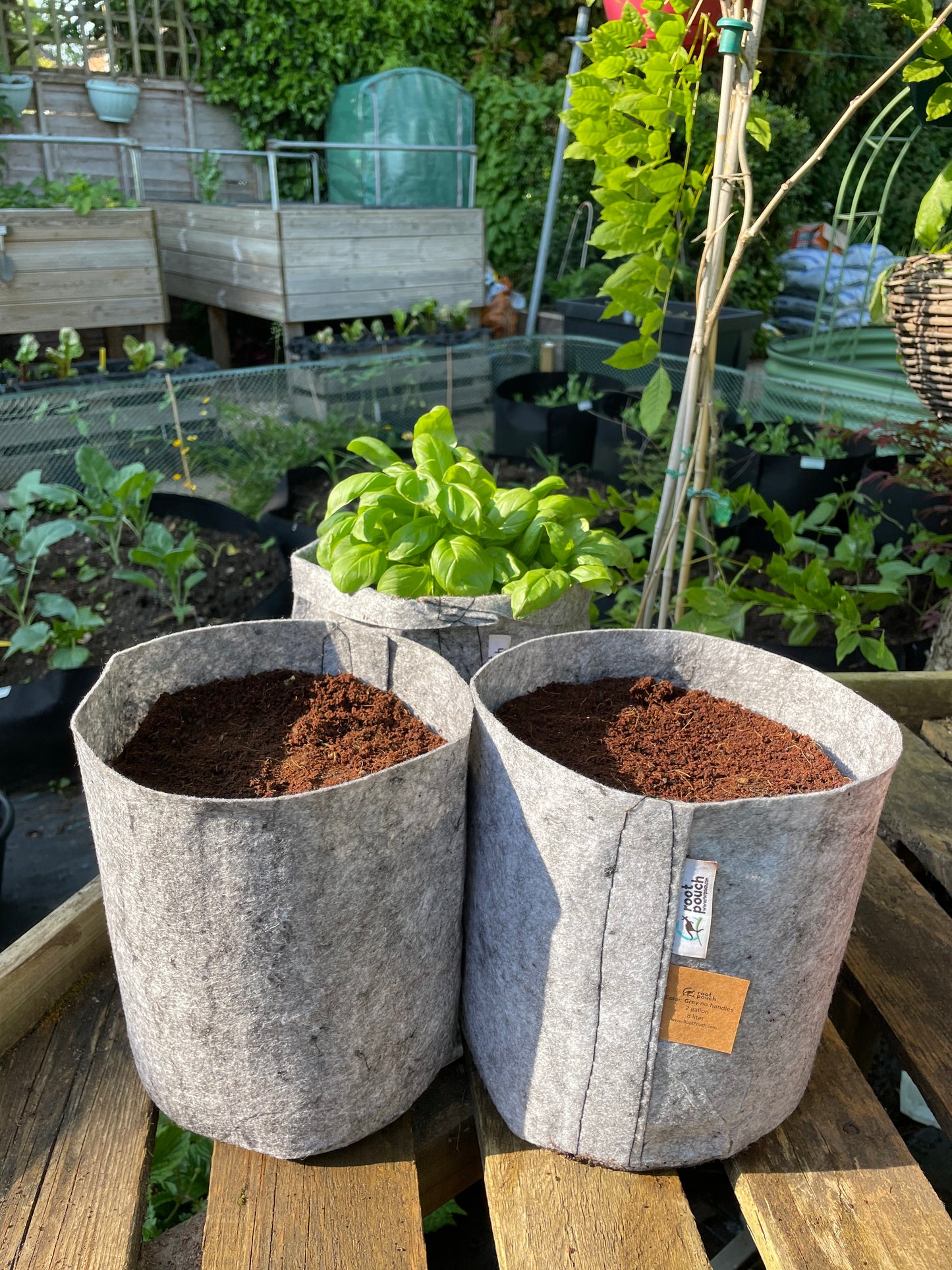Medium grow bags 3 pack - 8 litres