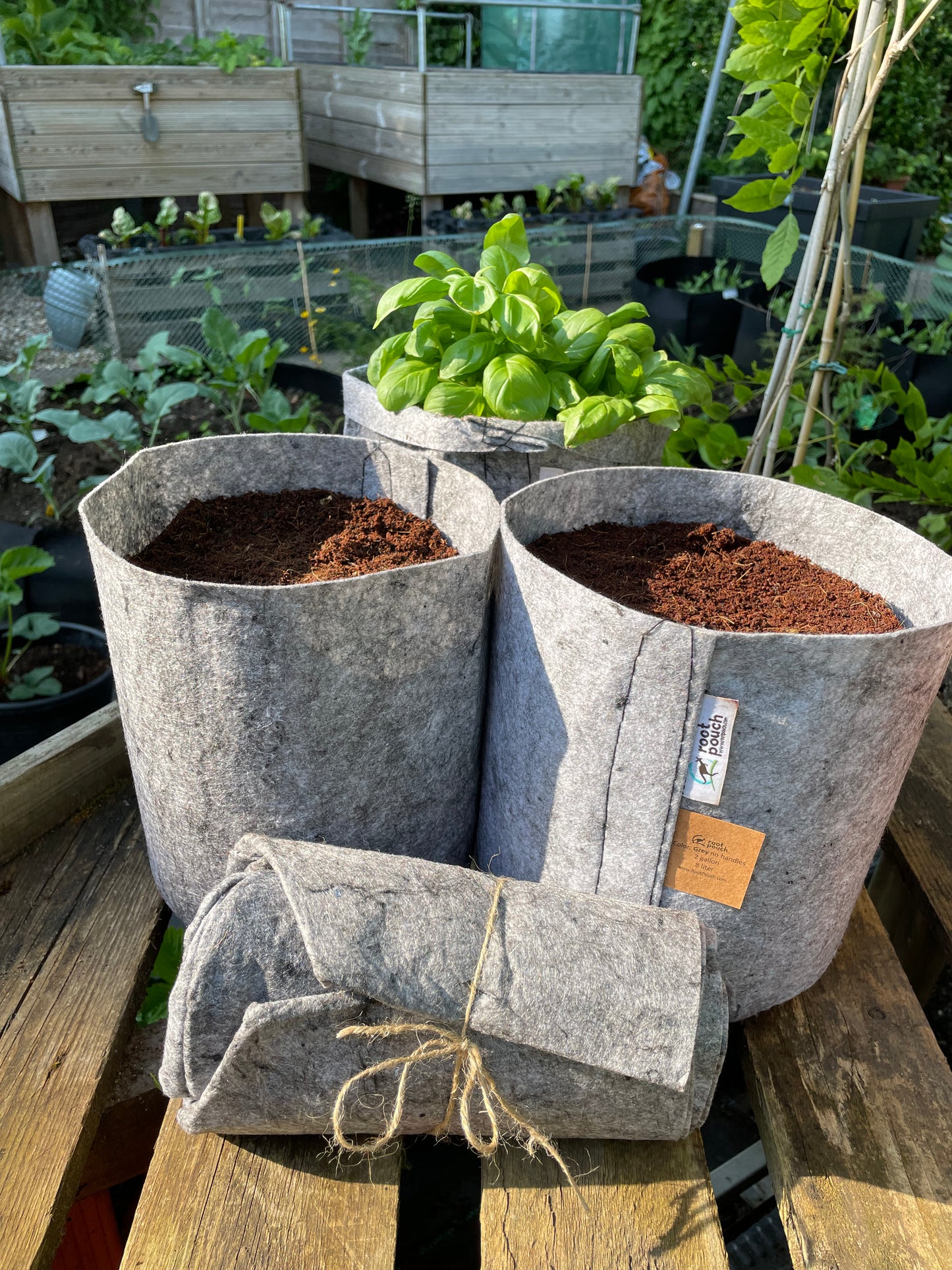Medium grow bags 3 pack - 8 litres