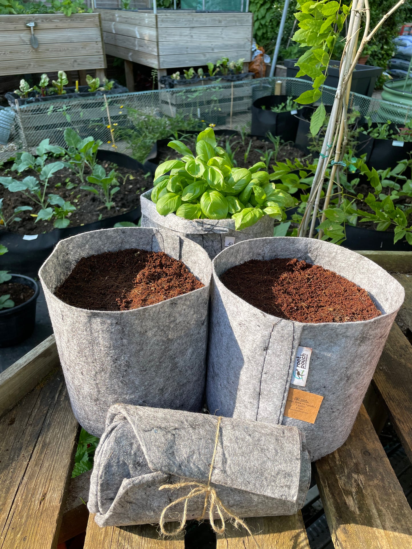 Medium grow bag 9 pack - 8 litres
