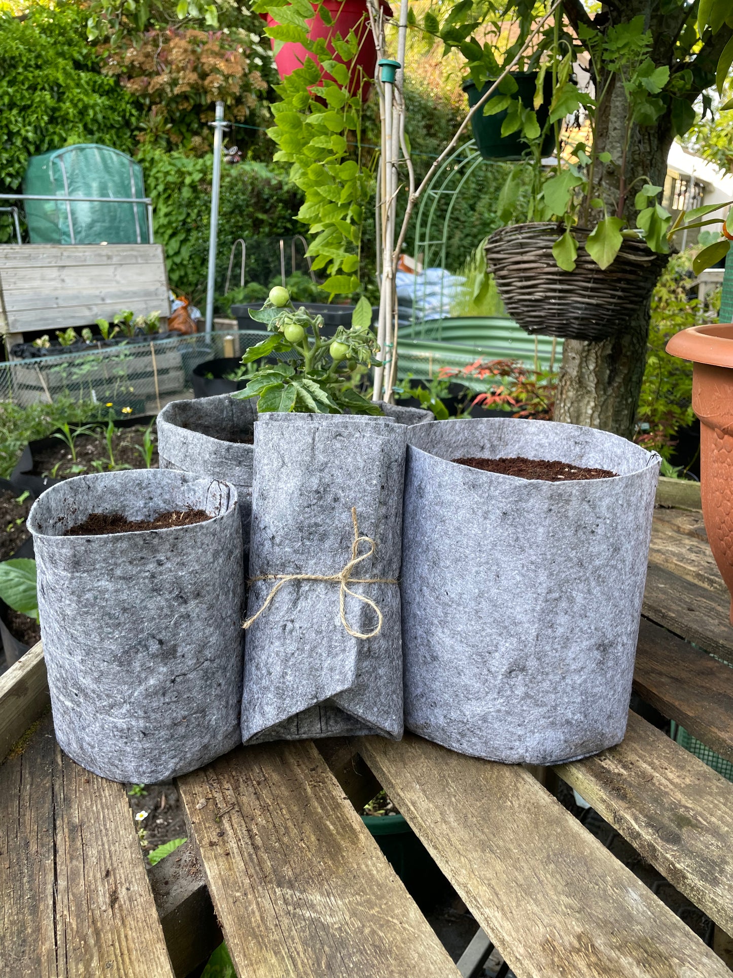 Grow bags assorted collection 3 pack - 12 litre, 8 litre & 3.8 litre