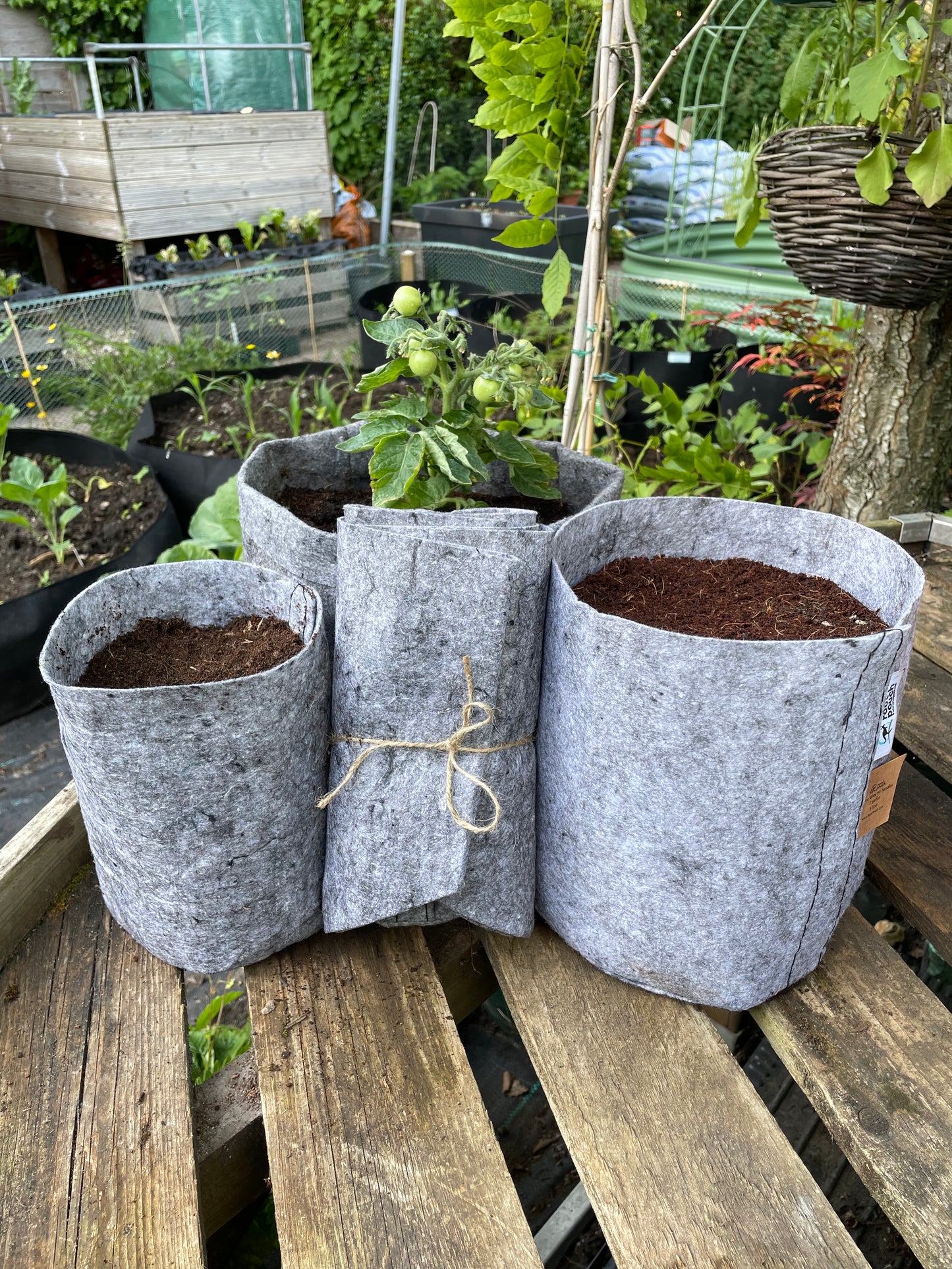 Grow bags assorted collection 3 pack - 12 litre, 8 litre & 3.8 litre