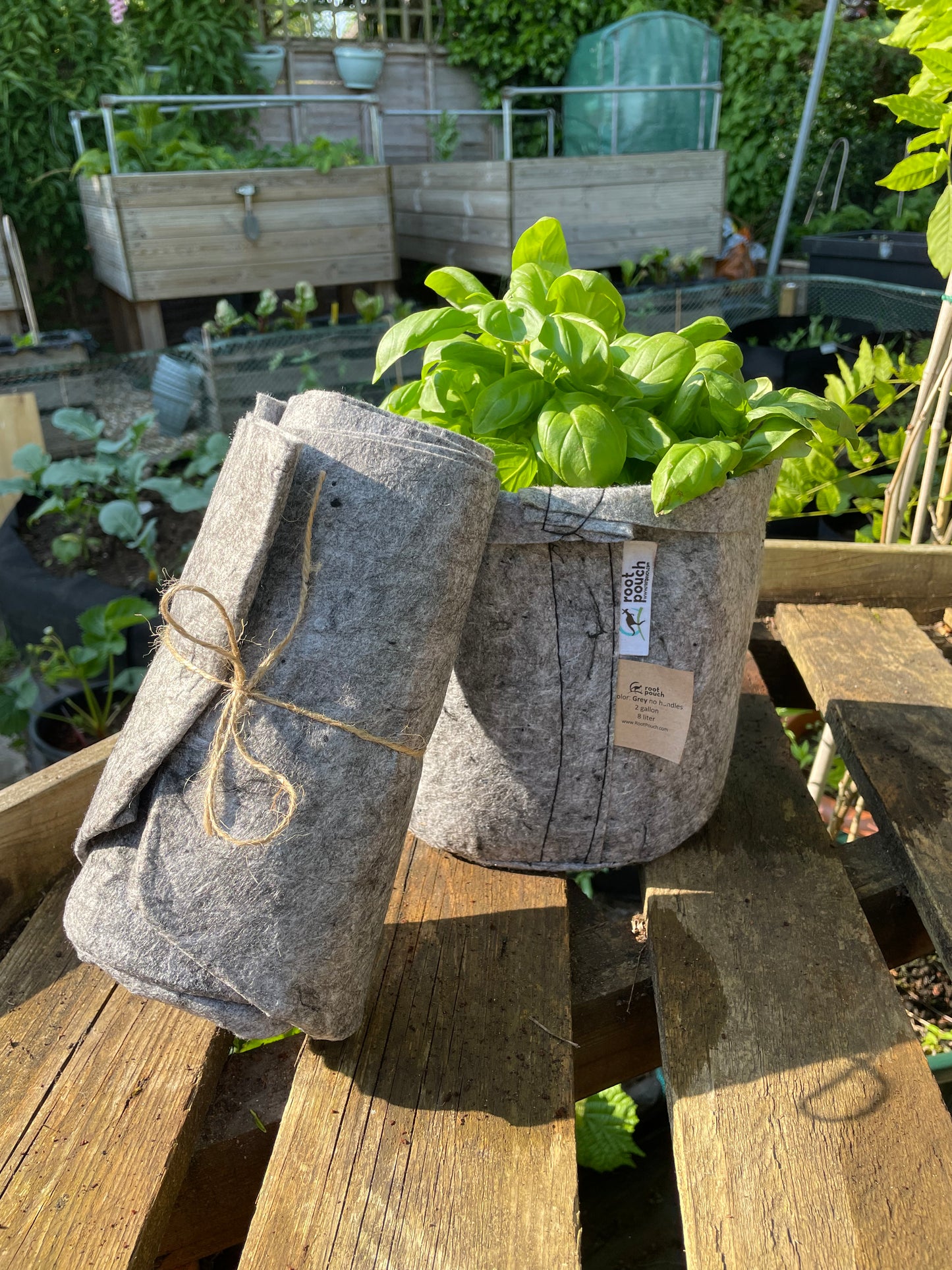 Medium grow bag 9 pack - 8 litres