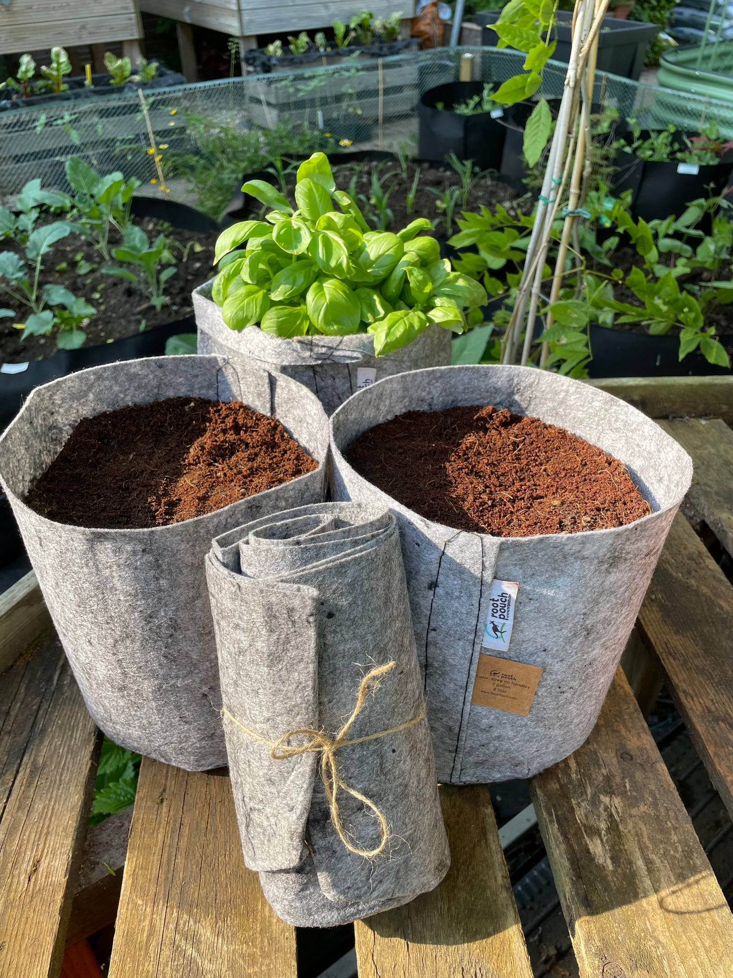 Medium grow bags 3 pack - 8 litres