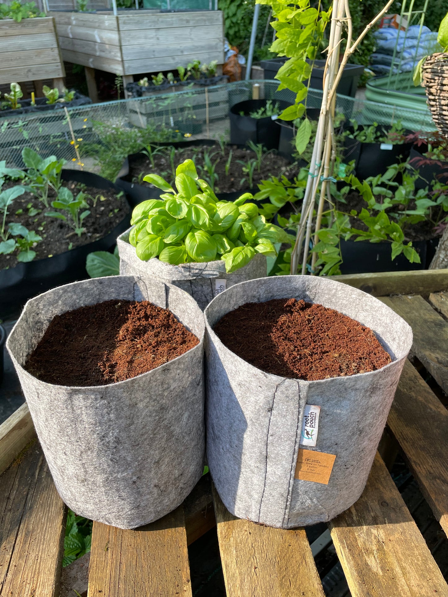 Medium grow bags 3 pack - 8 litres