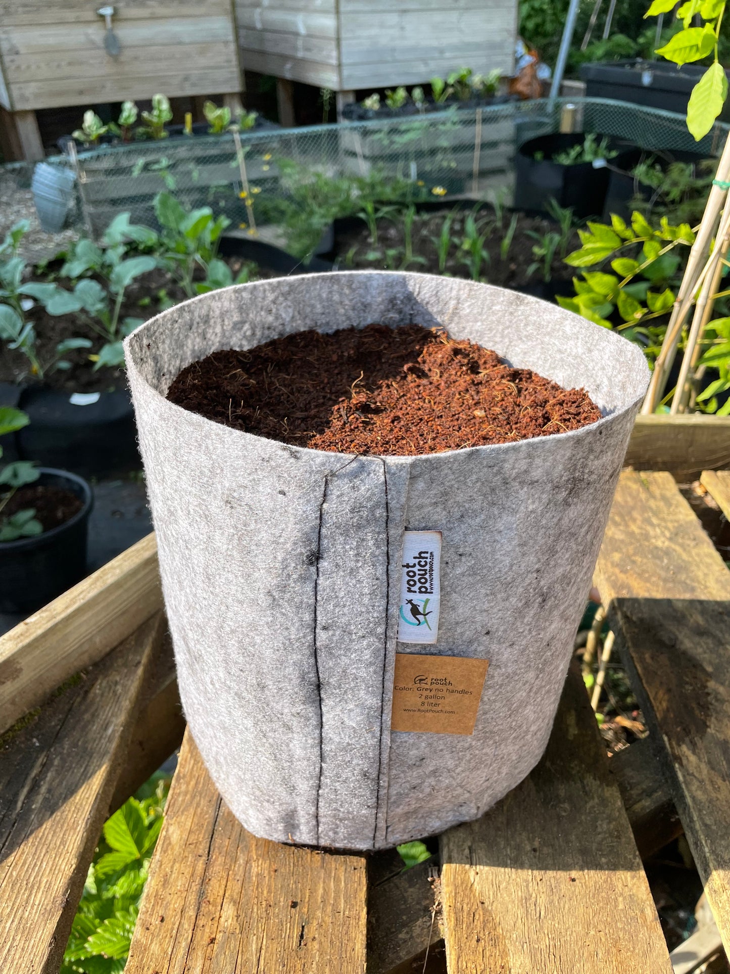 Medium grow bags 3 pack - 8 litres