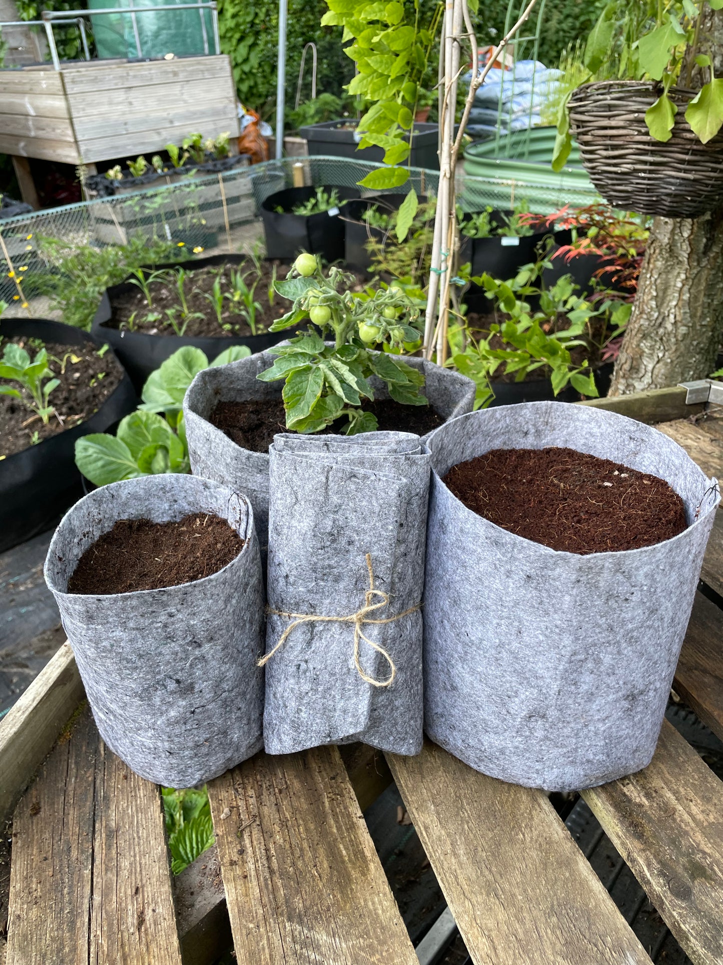 Grow bags assorted collection 3 pack - 12 litre, 8 litre & 3.8 litre