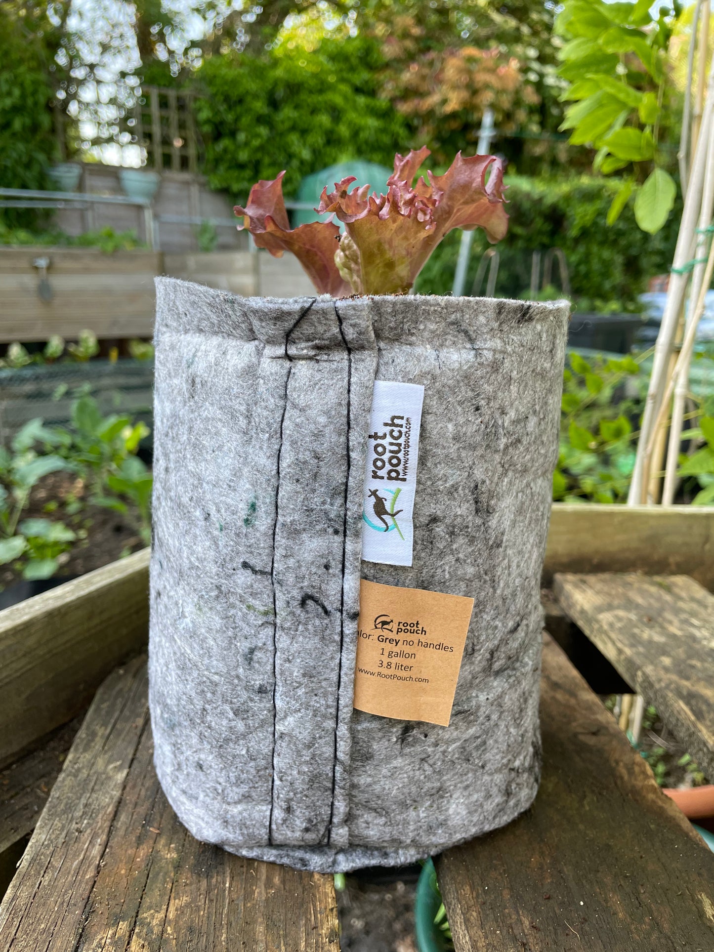 Small grow bag 9 pack - 3.8 litres