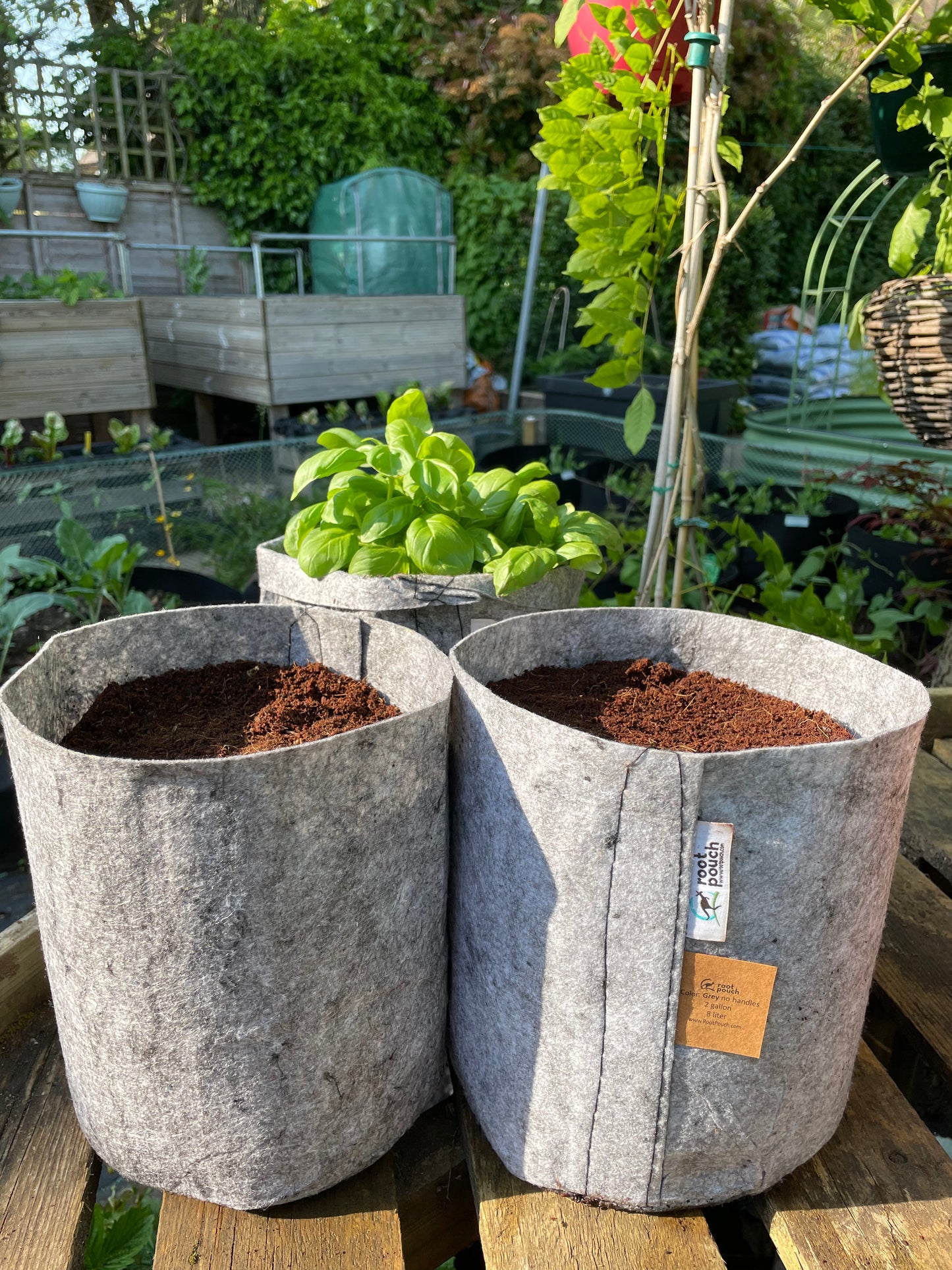Medium grow bags 3 pack - 8 litres