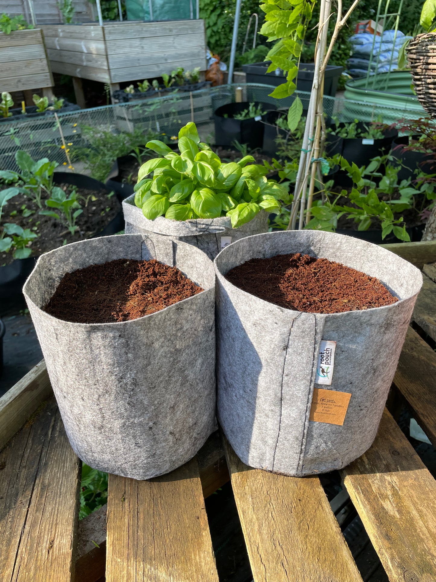 Medium grow bags 3 pack - 8 litres