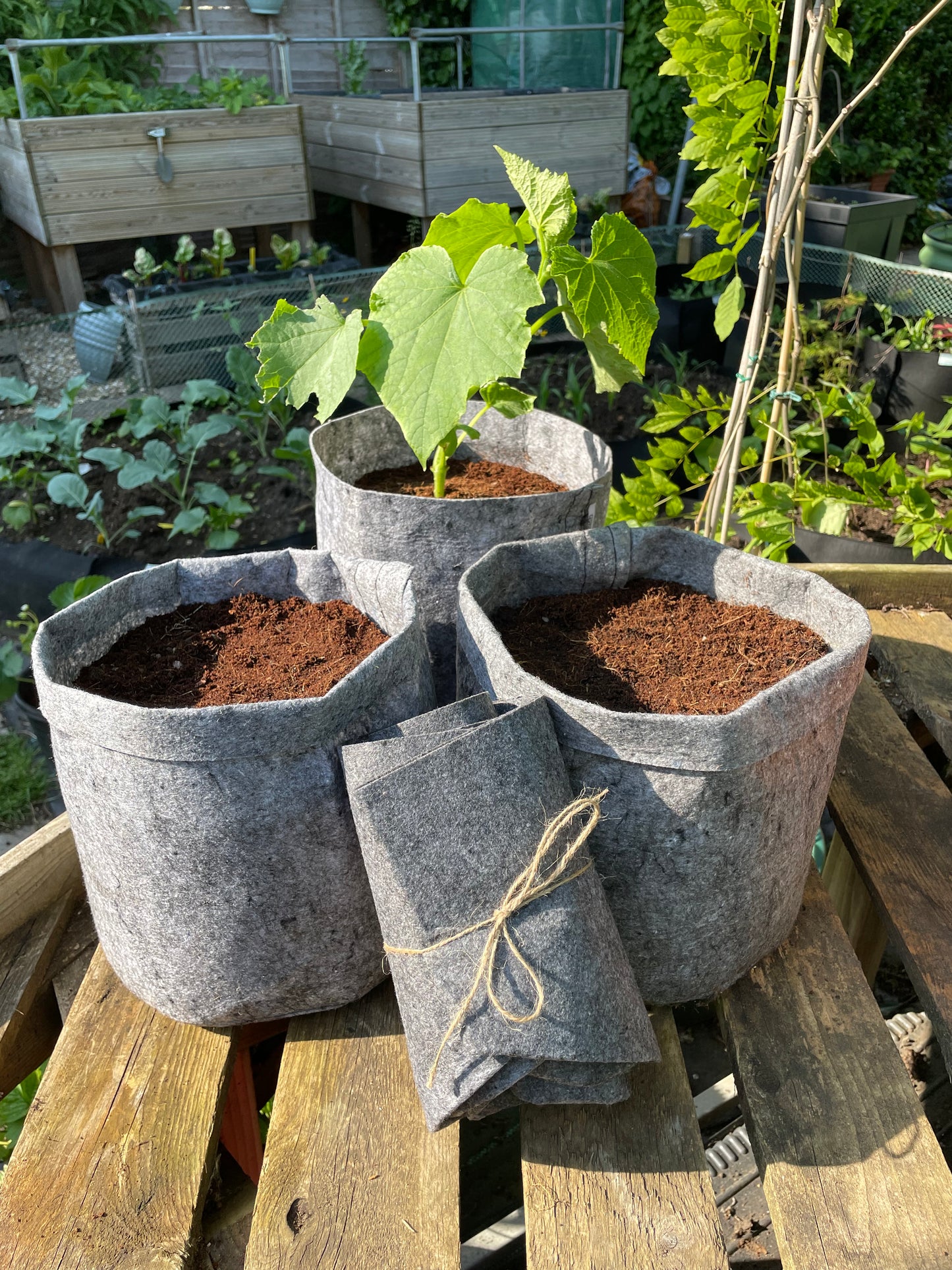 Large grow bags 9 pack - 12 litres