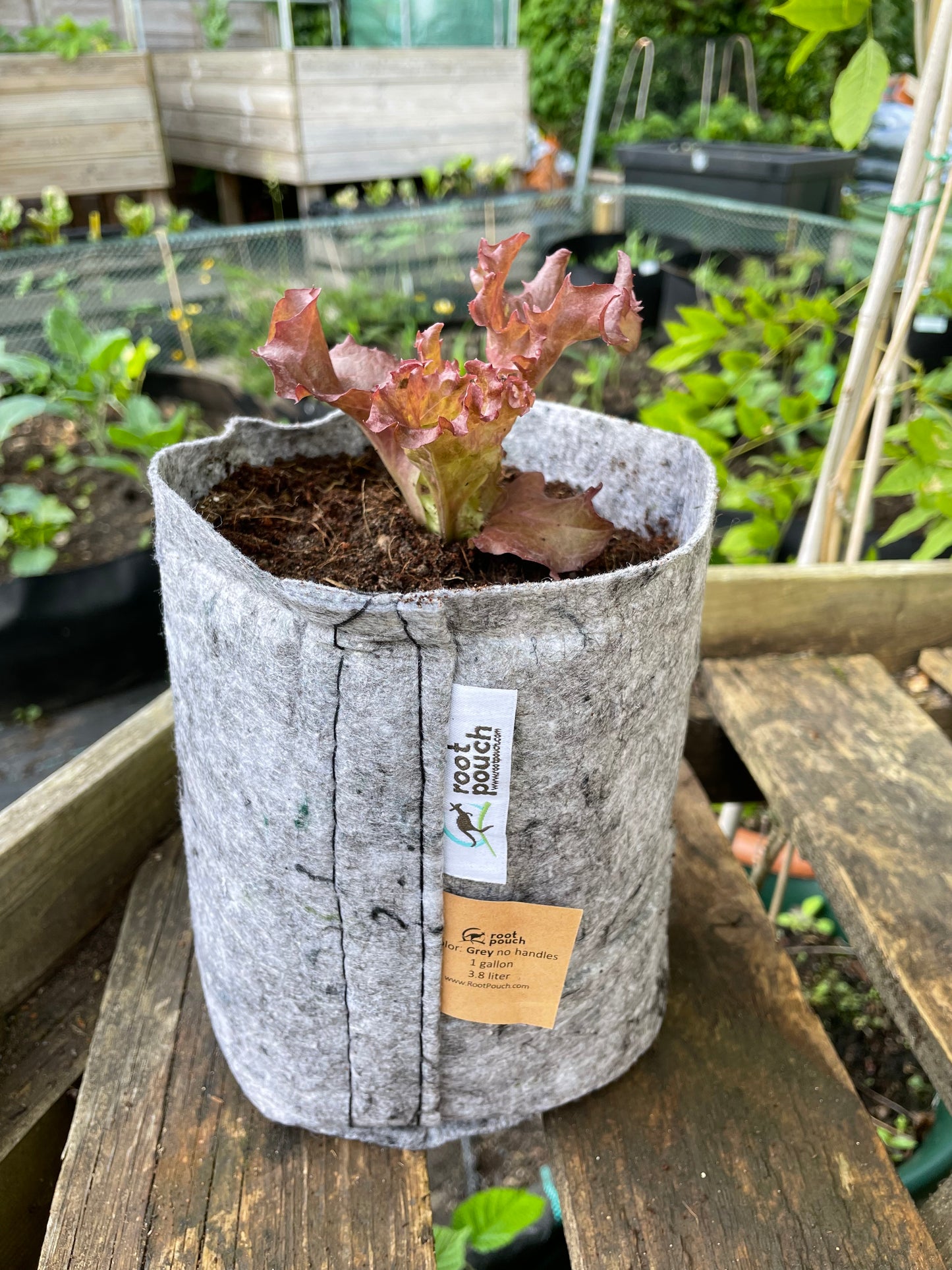 Small grow bag 9 pack - 3.8 litres