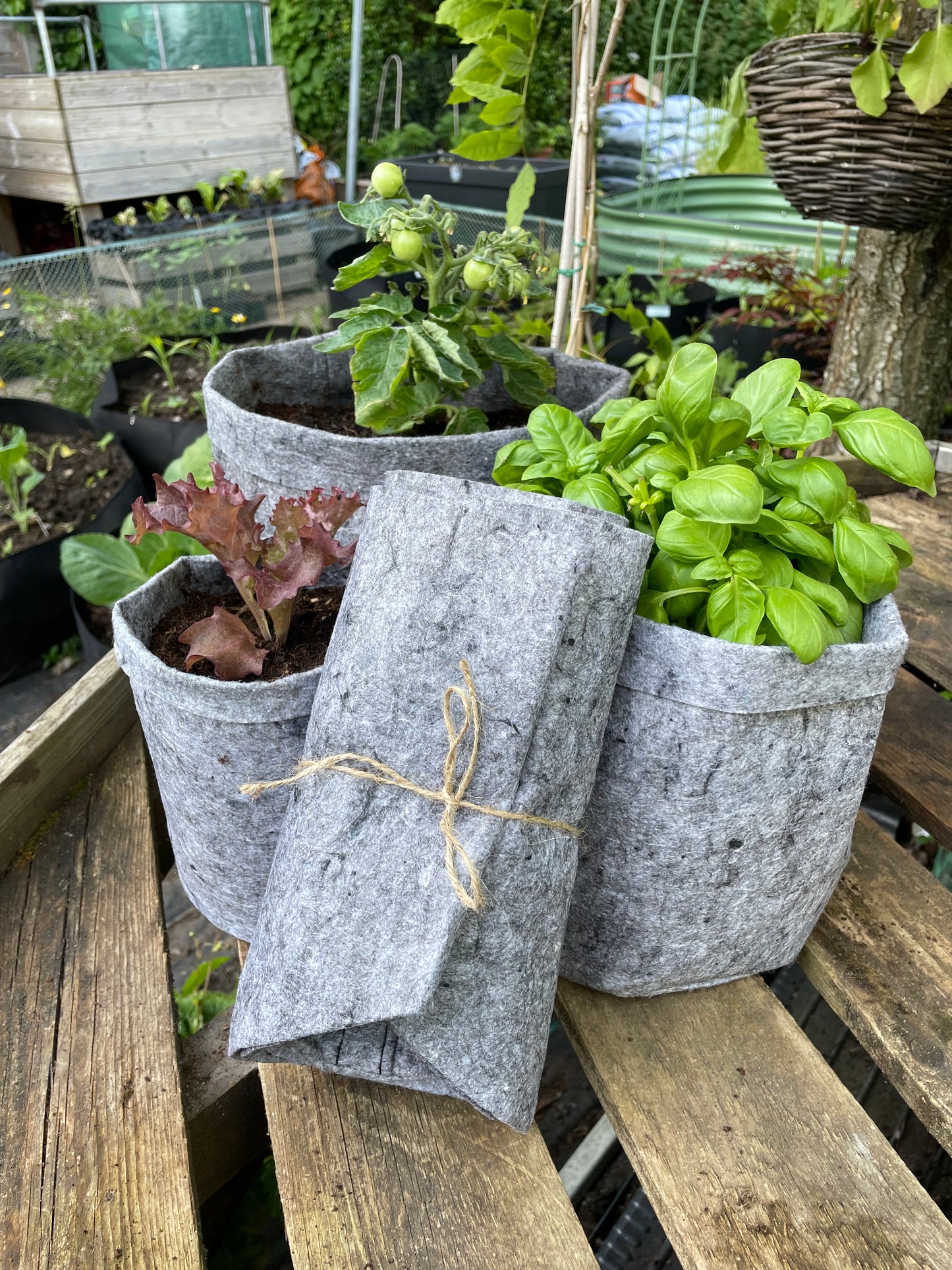 Grow bags assorted collection 3 pack - 12 litre, 8 litre & 3.8 litre