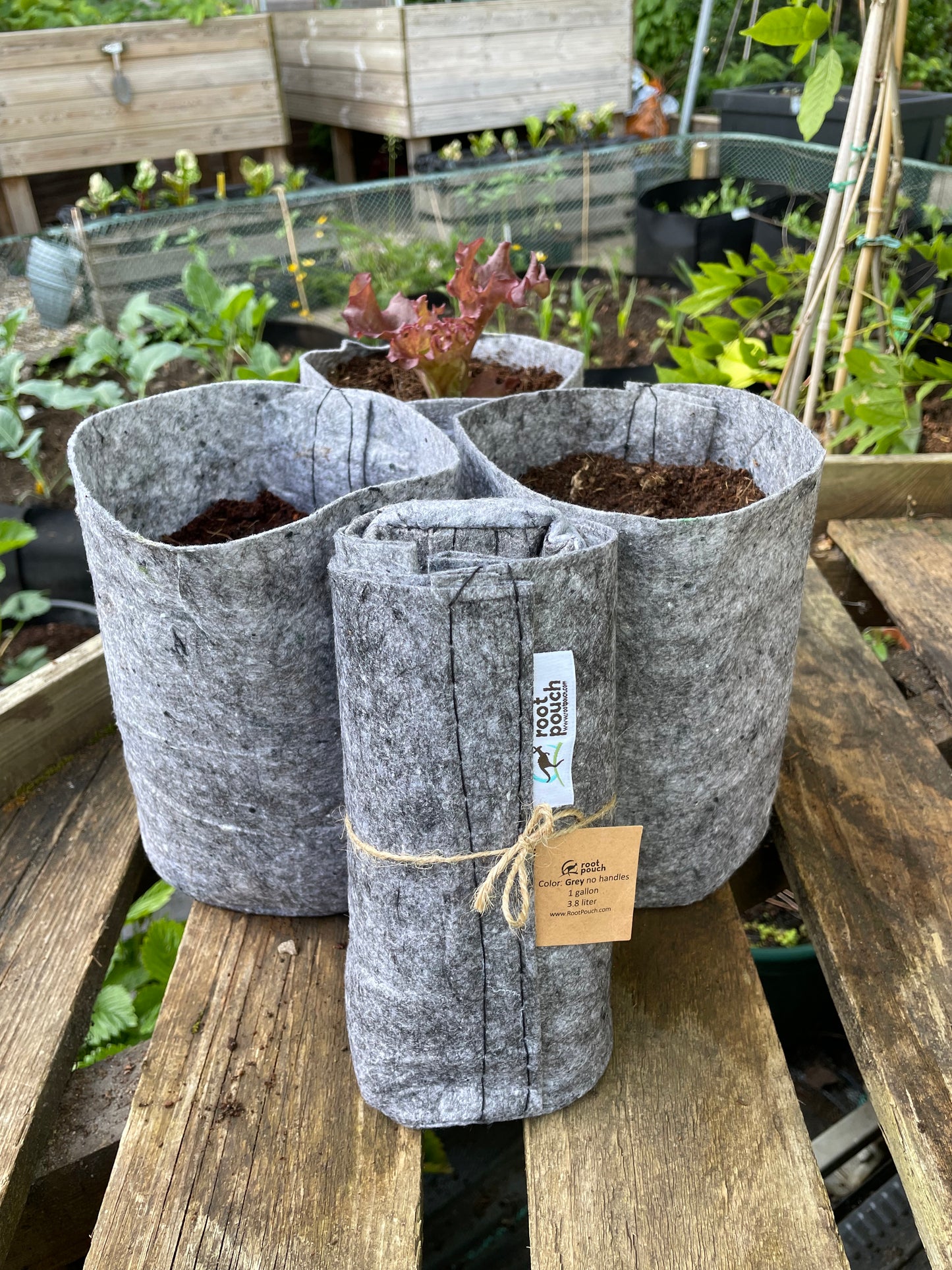 Small grow bags 3 pack - 3.8 litres