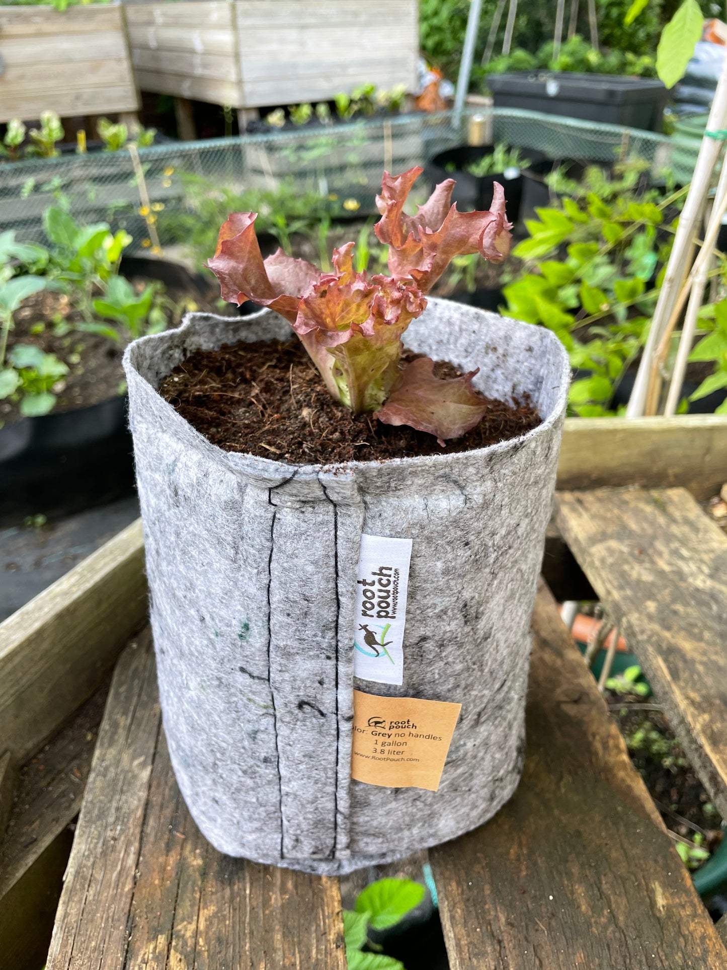 Small grow bags 3 pack - 3.8 litres