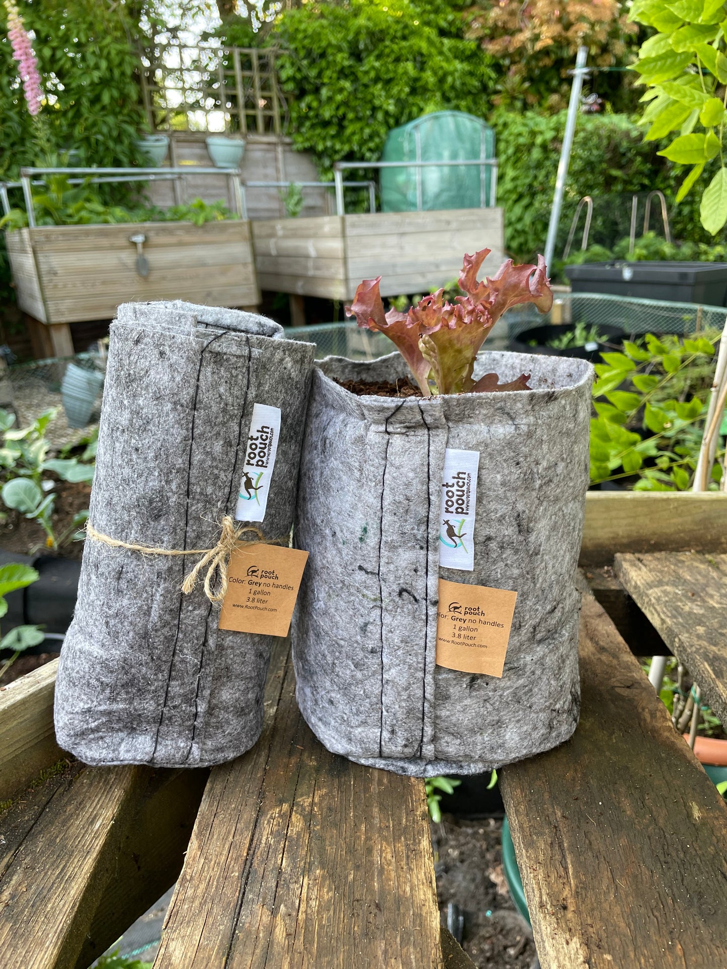 Small grow bag 9 pack - 3.8 litres