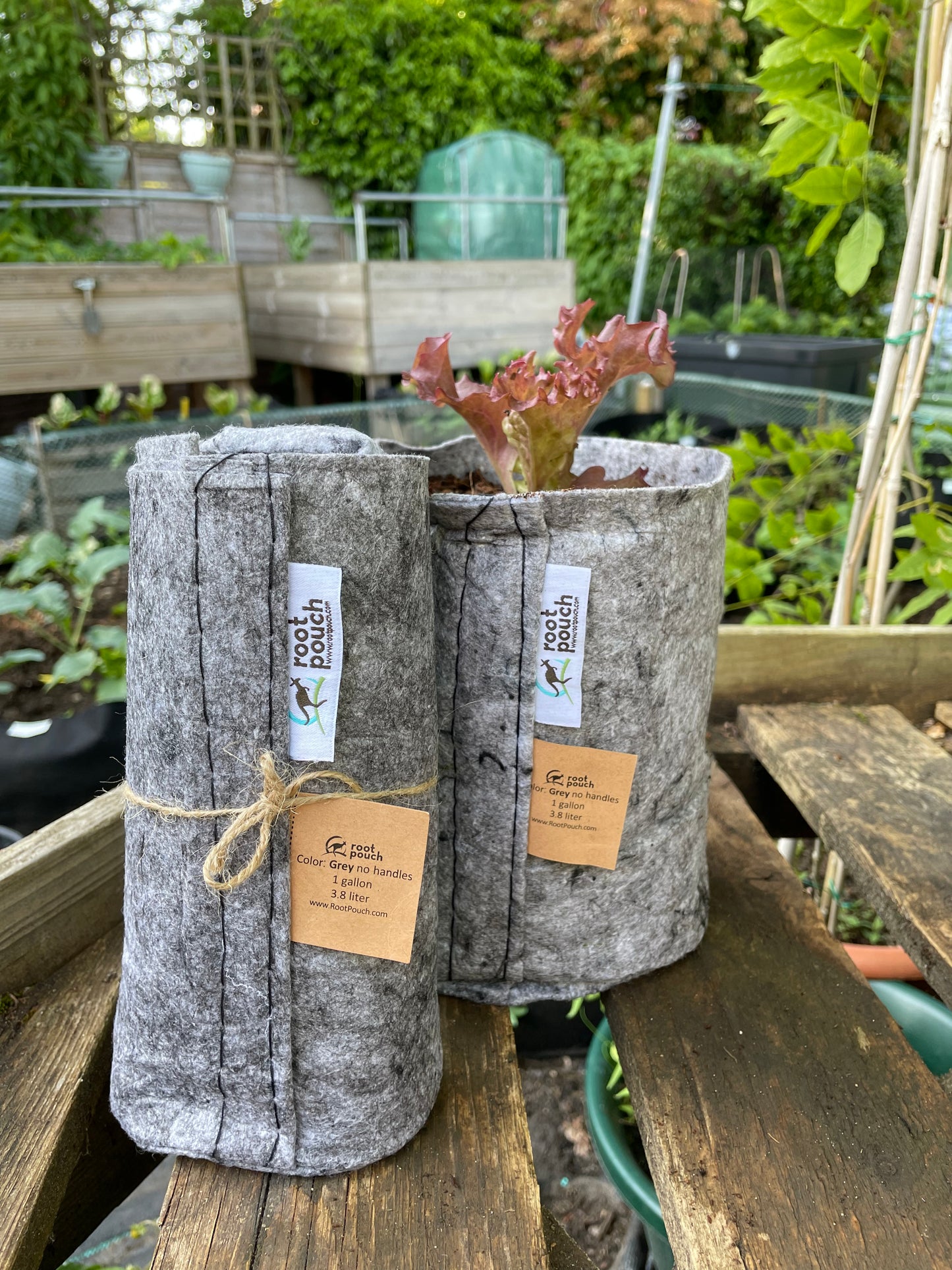 Small grow bag 9 pack - 3.8 litres