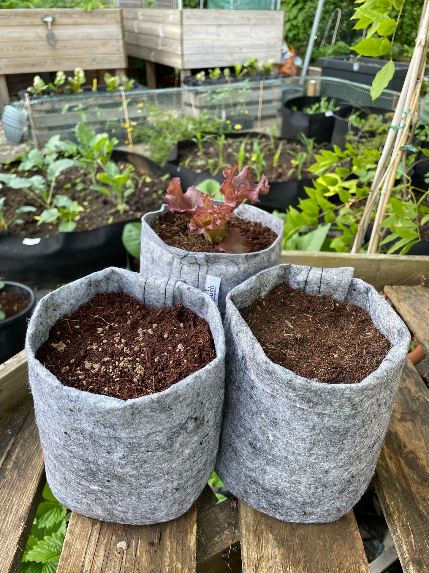 Small grow bag 9 pack - 3.8 litres