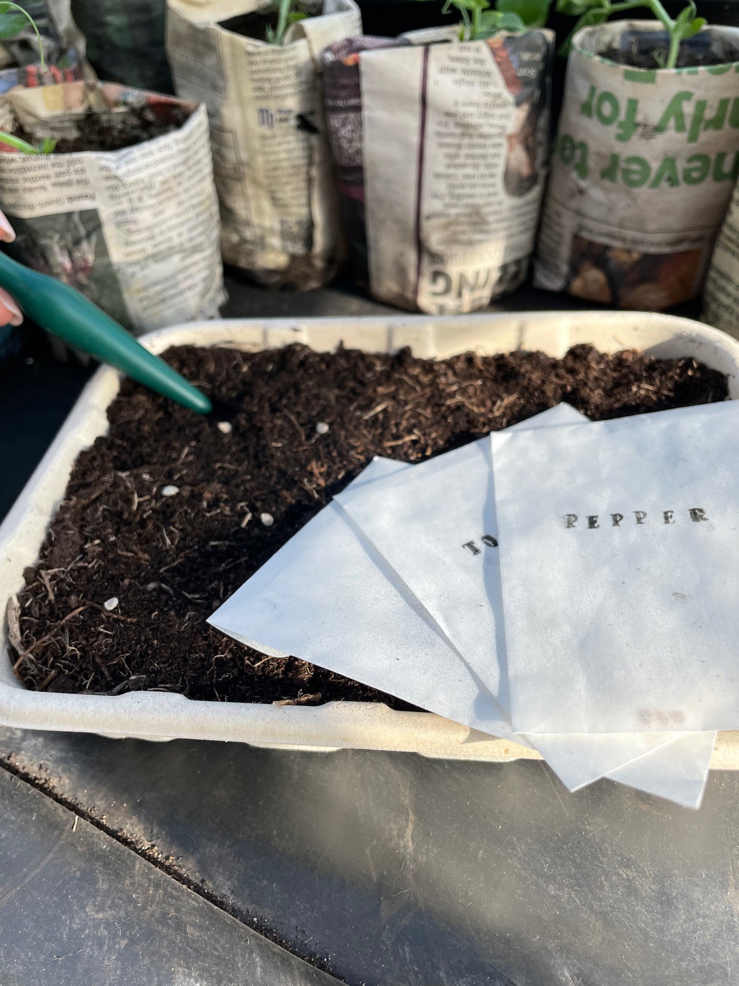 Grow Your Own Box Set