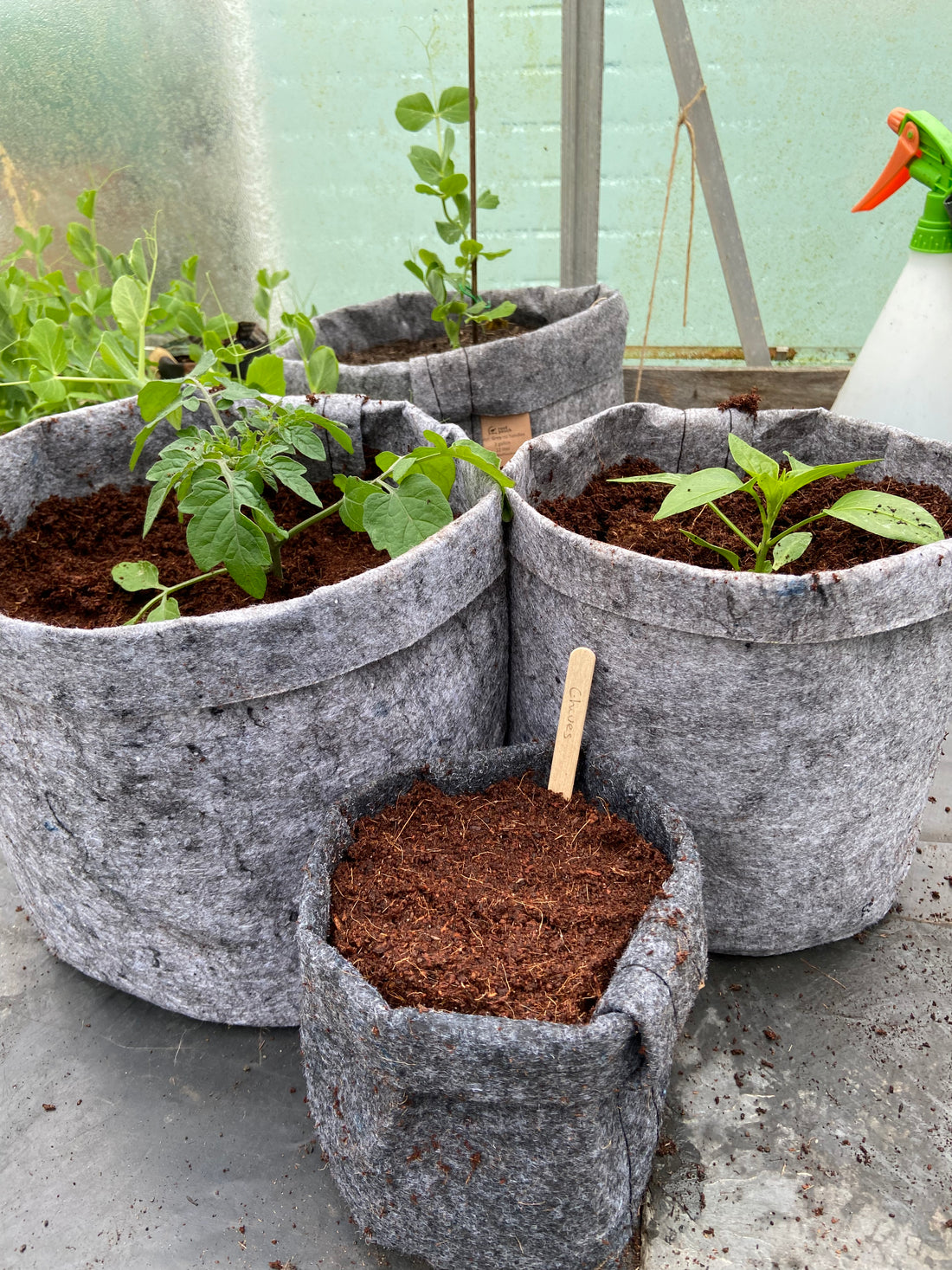 Grow Guide - April 2023
