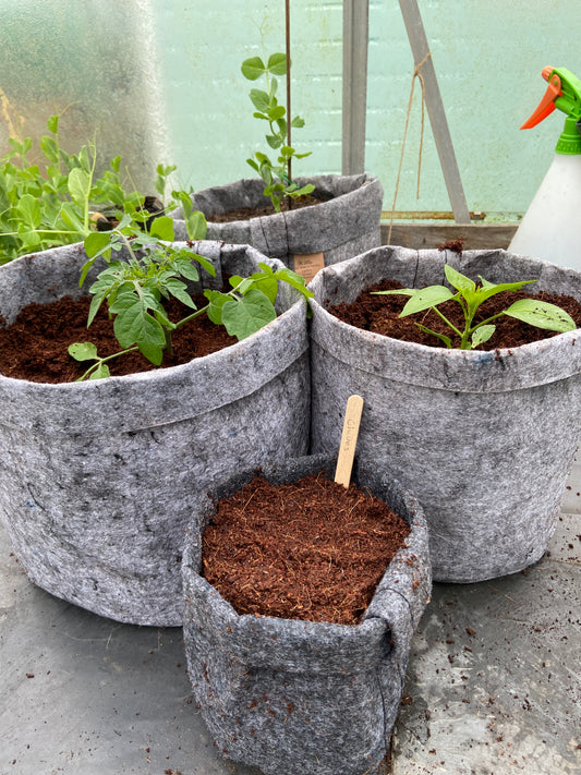 Grow Guide - April 2023